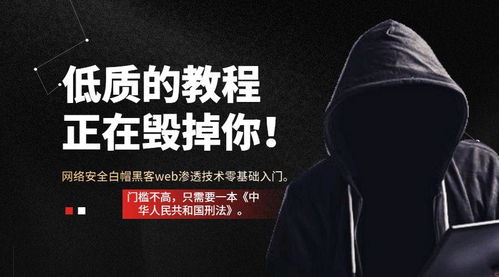 揭秘黑客24小时追款联系方式：宝藏级的存在！