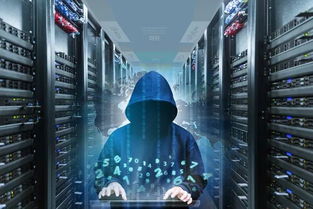 远程微信聊天记录查询：绝绝子的好用工具