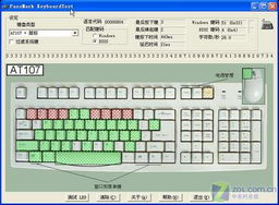 免费黑客24小时在线接单平台：普通人也能用的专业级工具