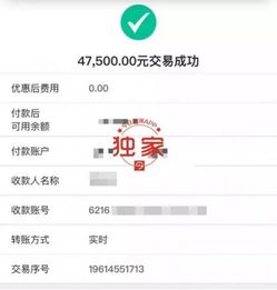 黑客帮忙追款网站接单：普通人也能用的高科技追回损失